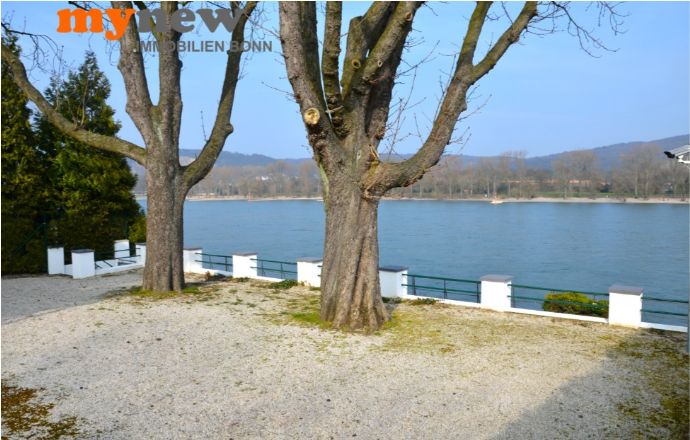 mynew-immobilien-bonn-bonn-plittersdorf-wohnung-rheinlage-terrasse-rheinblick